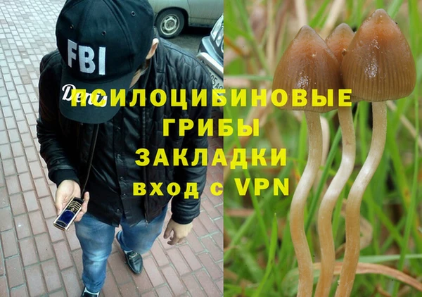 mdma Нязепетровск