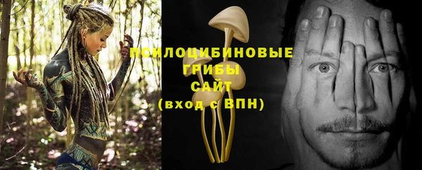 ешки Алзамай